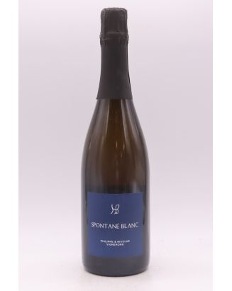 Hauts Baigneux Vin de France Spontané Blanc 2021