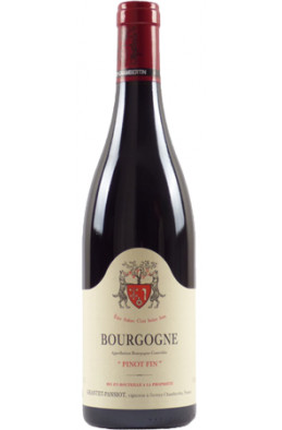 Geantet Pansiot Bourgogne Pinot Fin 2019